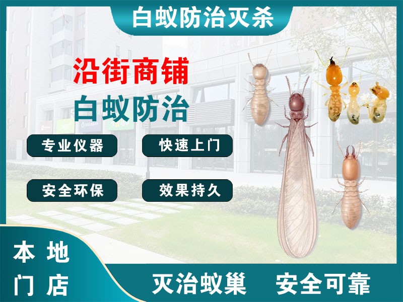 金华沿街商铺白蚁防治
