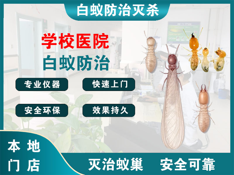 金华学校医院白蚁防治