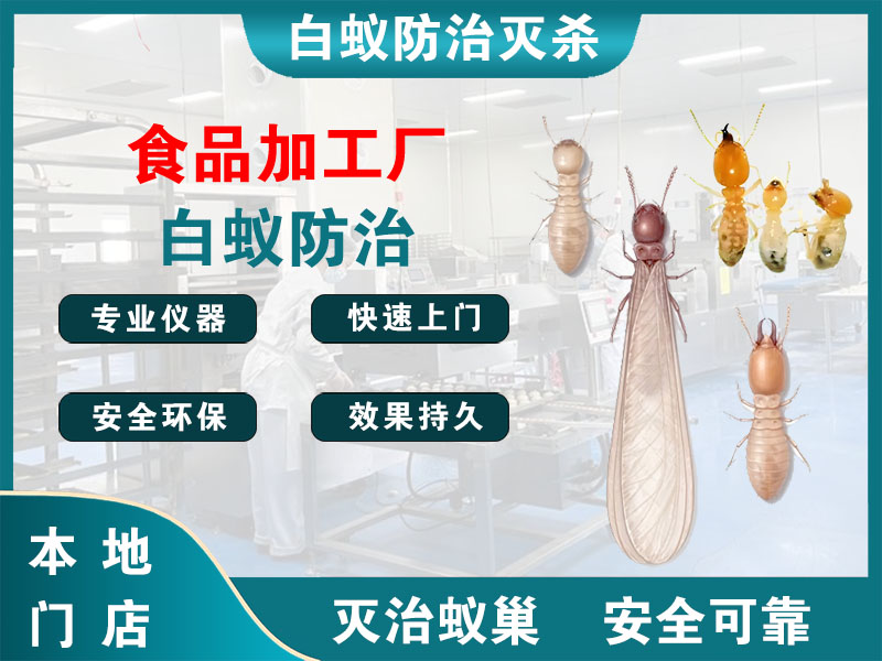 金华食品加工厂白蚁防治