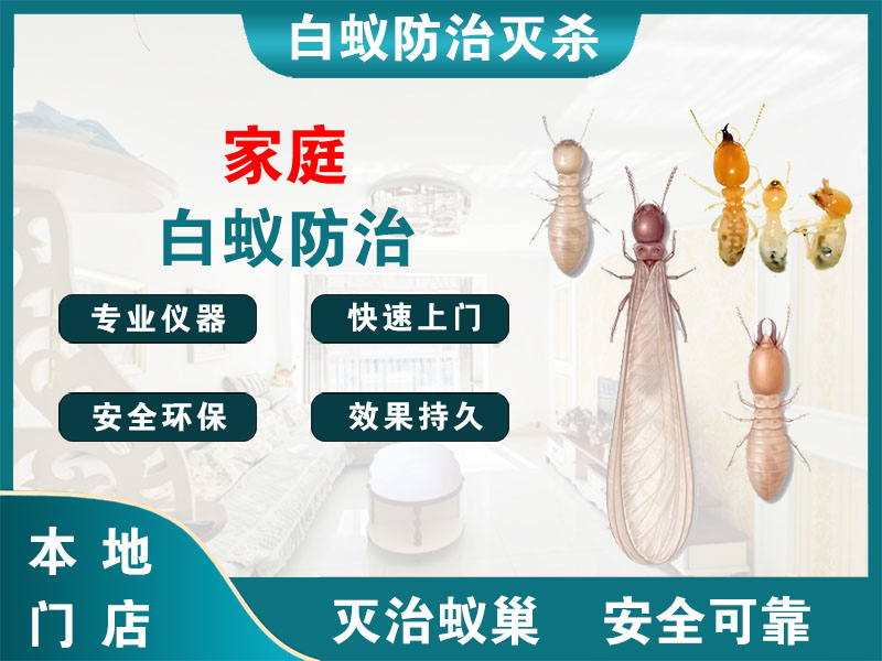 金华家庭白蚁防治