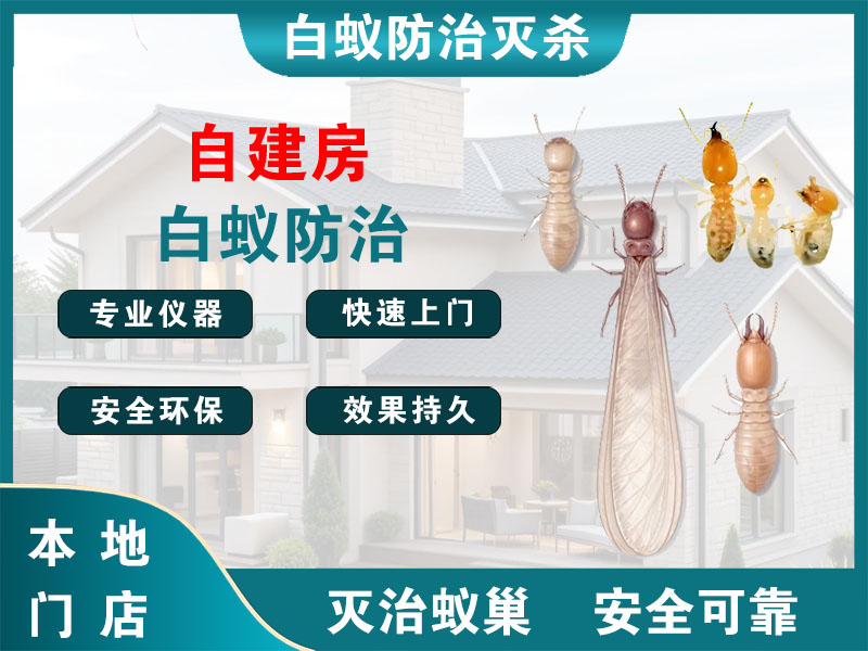 金华自建房白蚁防治