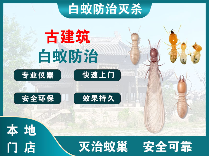 金华古建筑白蚁防治