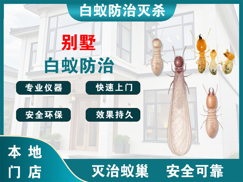 金华别墅白蚁防治