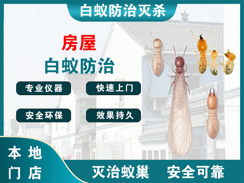 金华房屋白蚁防治